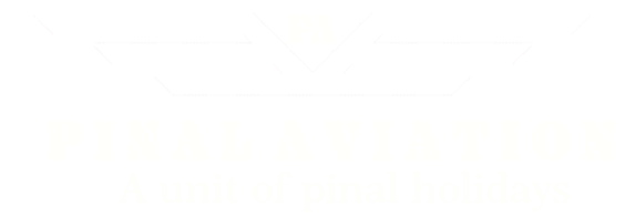 pinal aviation